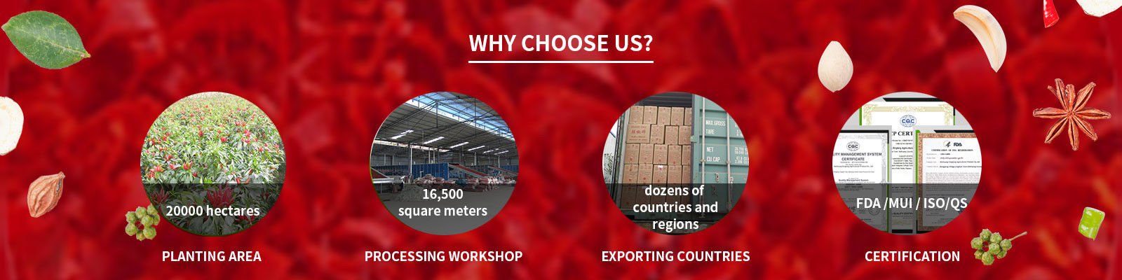 Paprikas pfeffern Pulver