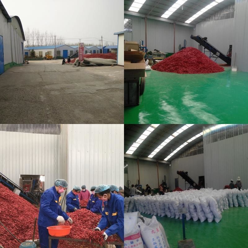 China Neihuang Xinglong Agricultural Products Co. Ltd Unternehmensprofil