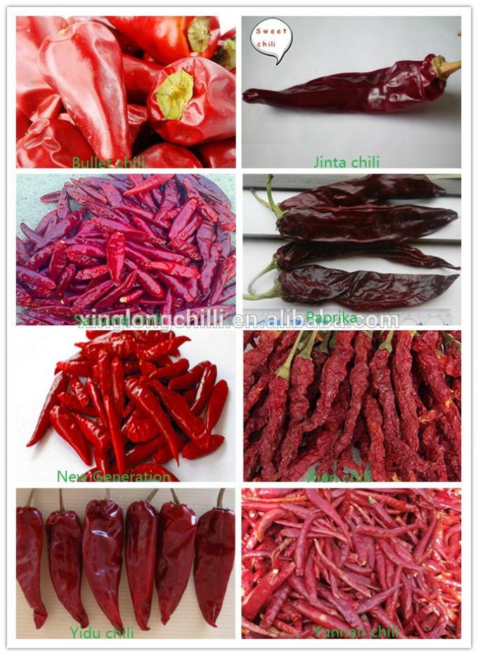 Chinesische beste Qualität getrockneter heißer roter Pfeffer sanyng Paprikas