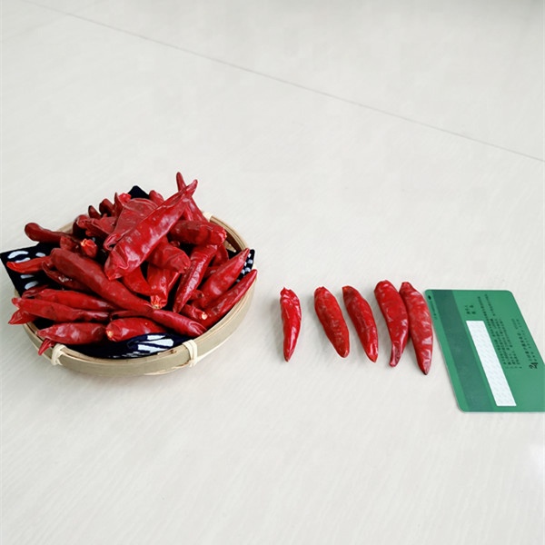 Neue Ernte getrocknete roter Pfeffer-heiße Paprikas