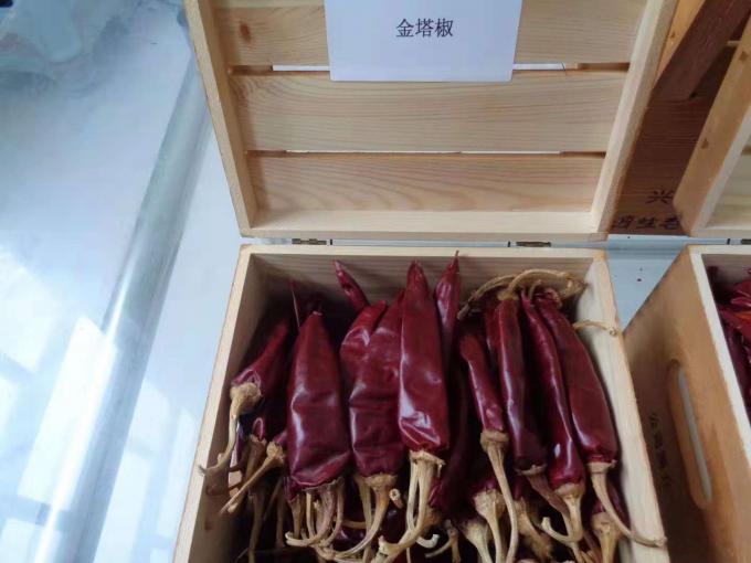 Neue Ernte trocknete heiße rote Jinta-Paprikas