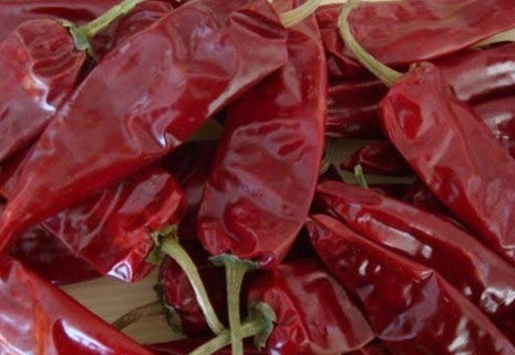 Chinesische Fabrik produzierte Guajillo-Paprika für mexikanische Nahrung SHU 5000-8000