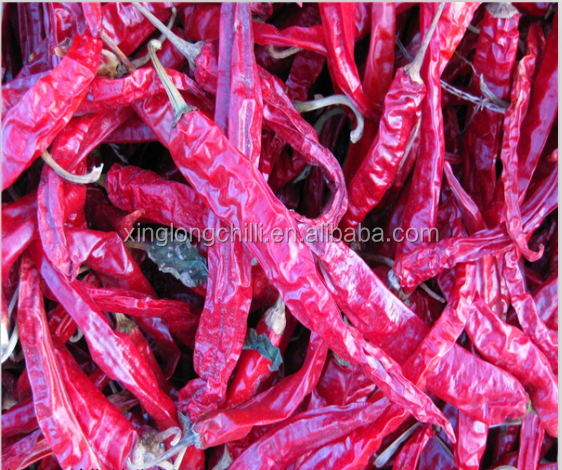 Langer roter Erjingtiao-Paprika für gebratene Paprikaringe