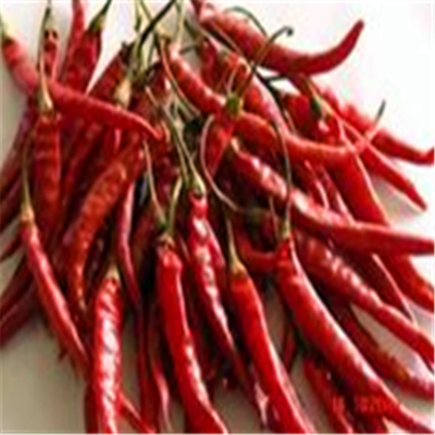 Luftgetrocknete Erjingtiao-Chilis ohne Stamm und mit Chili-Peppern verpackt