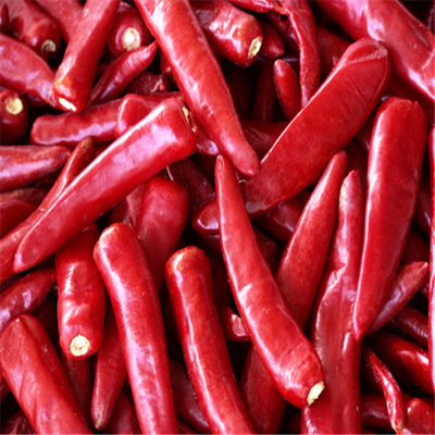 Ganze getrocknete rote Paprika mit Stammlosen Zutaten geben Ihrem Essen etwas Gewürz