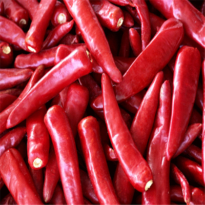 Null additives Erjingtiao trocknete scharfe entwässerte Peperoni Chilis