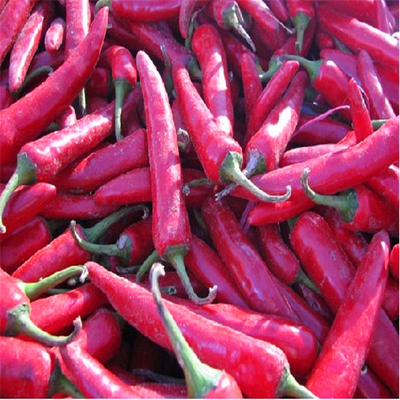 Ganze getrocknete rote Paprika mit Stammlosen Zutaten geben Ihrem Essen etwas Gewürz