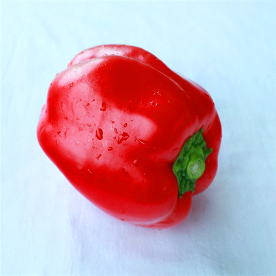 220 ASTA Sweet Paprika Pepper Non bestrahlten samenlos KEIN Pigment