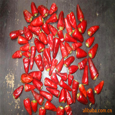 Luftgetrocknete rote Kugel Chilli in dunkelroter Farbe Einzelkräuter Gewürze