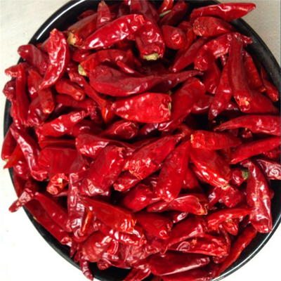 Einzigartige Kräuter Dunkelrote Kugel Chilli Perfekt fit Aussehen Effizienz