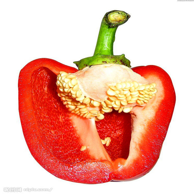 Ein hybrider Paprika des Grad-F1 sät süße Paprika Pepper 15000SHU