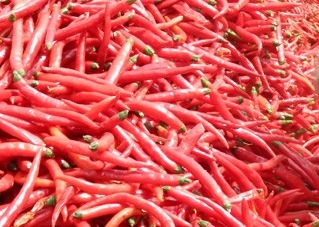 Würzige getrocknete 1 kg Birds Eye Chilli Zutaten, die einen unvergleichlichen Geschmack liefern