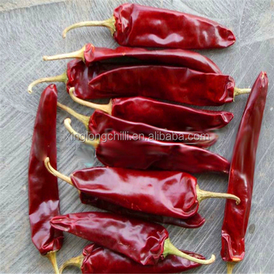 10–20 cm rote Jinta-Chili 8000–12000 SHU für Marinaden und Kochen