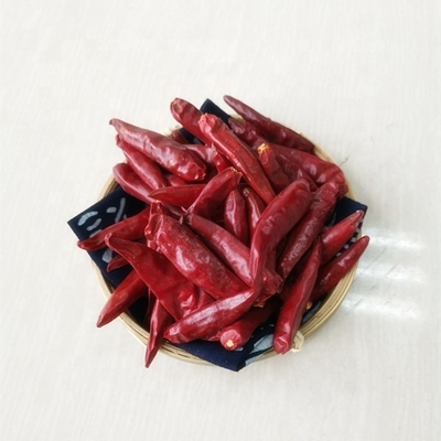 Cayenne getrocknete rote Chilli 4 - 7 cm starker scharfer Geschmack