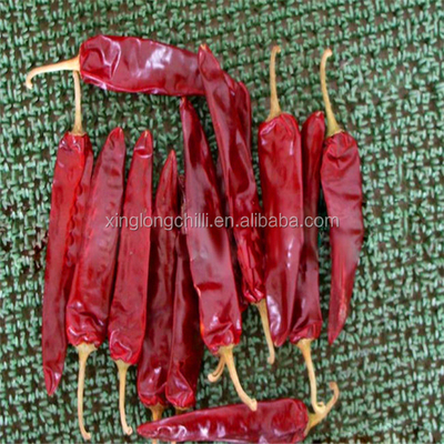 Rote Jinta Chilli 0,3% Max. Unreinheit Starker scharfer Geschmack Verpackung 25 kg