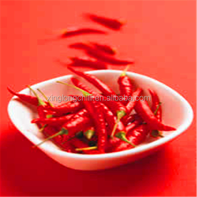 Rotes Chili feine Textur Pfefferpulver 100g reich an Vitamin C