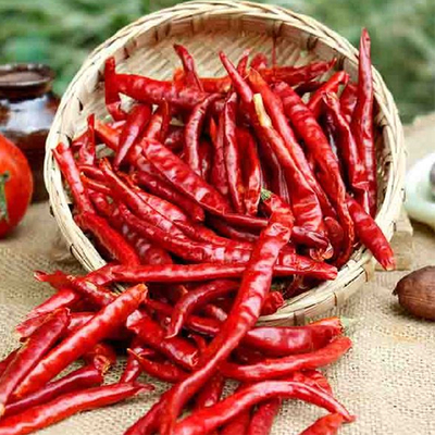 7-19 cm Länge Dehydrierende Chilis mit Vakuumversiegelter Verpackung