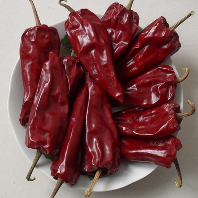Erhöhen Sie Ihre kulinarischen Kreationen mit leicht getrockneten Chili - Länge von Yidu Chili 7-15cm