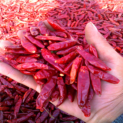 Hot Pot/ Sichuan Küche Trockene rote Chilli 4-7 cm mit 50 heißen Schärfe