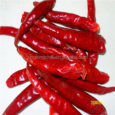 Rote, scharfe, knackige, getrocknete Chilli Xinglong ohne Stamm