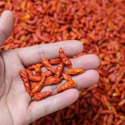 Verpackung für getrocknete Vögel-Augen-Chilli 1 kg HACCP-Größe