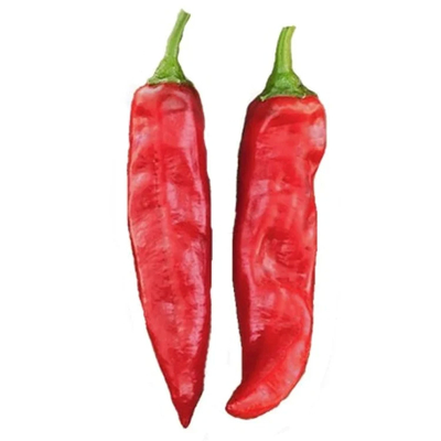 Getrocknete rote Chilischillen verbessern Ihr Geschäft mit roter Kraft und 1% Unreinheit