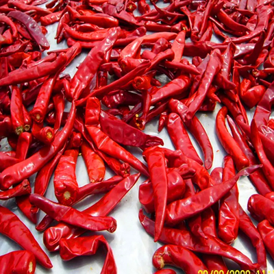 10 kg Einheitsgewicht Chilli mit einem Feuchtigkeitsgehalt von maximal 12%