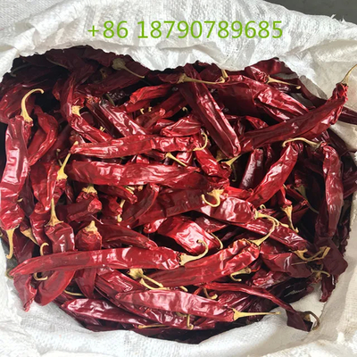 7 bis 19 cm getrocknete süße Chili in natürlicher roter Farbe