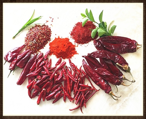 Feuchte 8%-12% Trockener Guajillo Chili Rot Ganzkörper / Stick
