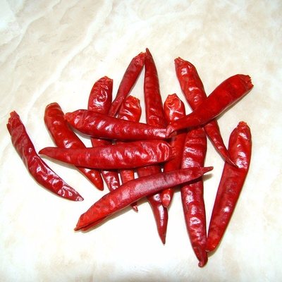 Feuchte 8%-12% Trockener Guajillo Chili Rot Ganzkörper / Stick