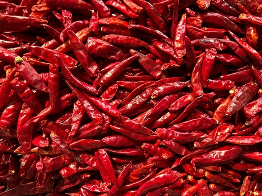 Die Köche lieben scharfes, getrocknetes Vogel-Auge-Chilli