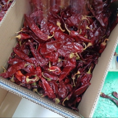 Zutaten Paprika Pfeffer Chili Capsicum Xinjiang Chili Schärfe 500SHU