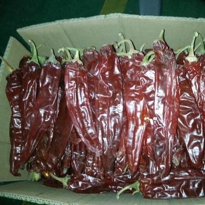 Getrocknete rote Paprika-Knospen für Ihr Lebensmittelgeschäft