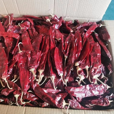 1000 cfu/g Paprika-Knospen für Ihr Lebensmittelgeschäft