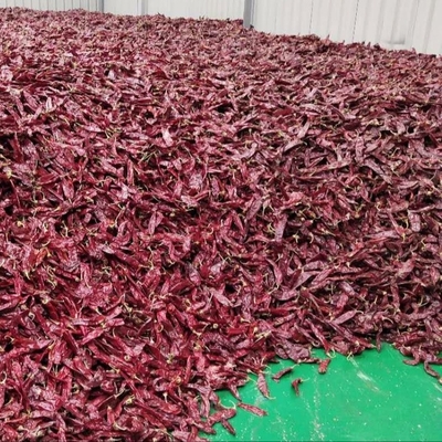 1000 cfu/g Paprika-Knospen für Ihr Lebensmittelgeschäft