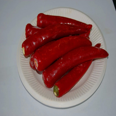 Premium-indisches Chillipulver - fein strukturiert ASTA 120
