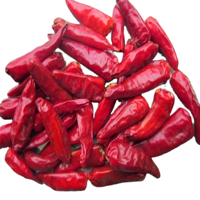 2% maximale Bruchrate Luftgetrocknete rote Kugel Chilli mit Proben und Fracht gesammelt