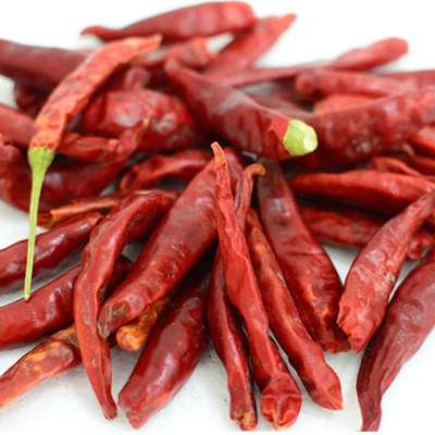 Premium Chilli Pulver Rotes Feinspulver mit Vitamin C