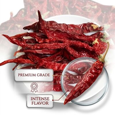 Stammlose getrocknete rote Chili-Pfeffer Natürliche getrocknete Chile Rojo Exportqualität ganze Pods 4-7cm 20000-50000SHU Großhandel