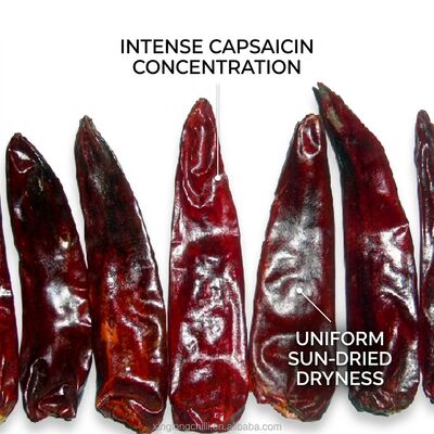 Getrocknete rote Chilischoten mit geringer Feuchtigkeit, maximal 8%, natürlich sonnengetrocknet, Premium-Exportqualität, 4-7 cm, 5000-20000 SHU