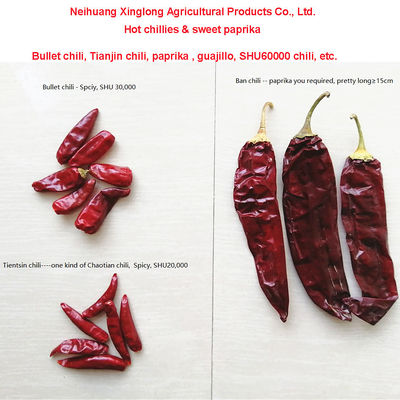 1 Jahr Haltbarkeit Süßpaprika Pfeffer getrockneter Rotchilli Zusatzstoff für hochwertige Lebensmittelzutat