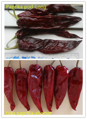 Sonnen getrocknete Chilli-Pfeffer Süßpaprika-Pfeffer mit 1% Unreinheit 7-19 cm