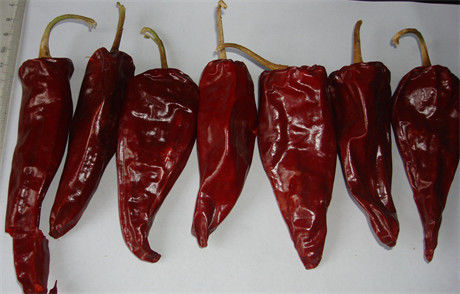 12CM trockene rote Paprikas ganzes Xinglong 10KG trockneten Asiaten Chili Peppers