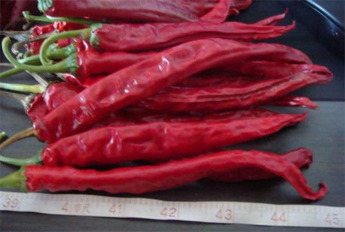 Stemless Erjingtiao getrocknetes Chilis entkeimte die ganzen scharfen Paprikas
