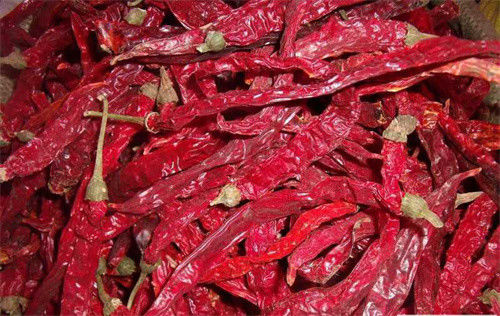 Süßes Erjingtiao trocknete Feuchtigkeit Chilis 12% Erjingtiao-Pfeffer mit Stamm