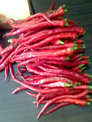 8000-12000shu Erjingtiao trocknete Chilis-mäßige Hitze Chili Bean Paste Use