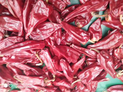 12CM trockene rote Paprikas ganzes Xinglong 10KG trockneten Asiaten Chili Peppers