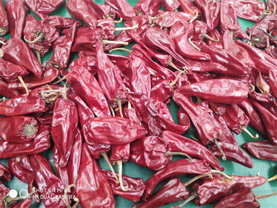 12CM trockene rote Paprikas ganzes Xinglong 10KG trockneten Asiaten Chili Peppers