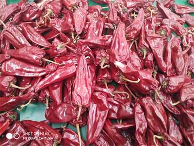 8000 Paprikas SHU Yidu Chili Pungent Chilli-Aroma Beijinghong Jinta