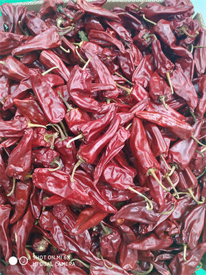 8000 Paprikas SHU Yidu Chili Pungent Chilli-Aroma Beijinghong Jinta